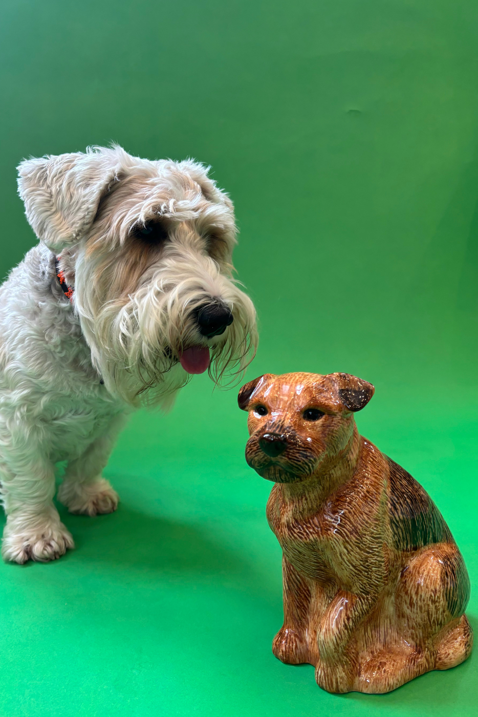 Large Border Terrier Flower Vase